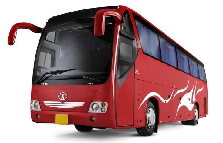 Coach bus 50 passenger 